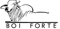 Logo Casa de Carnes Boi Forte